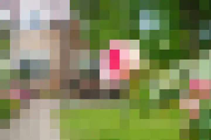 Edeseweg 93 Bennekom thumbnail 18