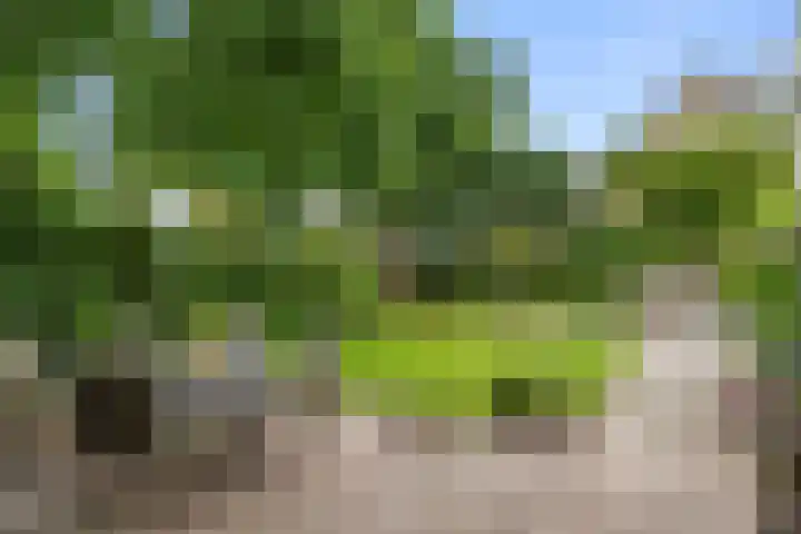 Edeseweg 93 Bennekom thumbnail 24