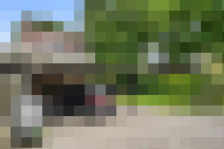 Edeseweg 93 Bennekom thumbnail 25