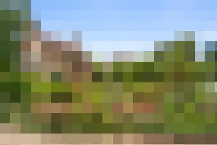 Edeseweg 93 Bennekom thumbnail 7