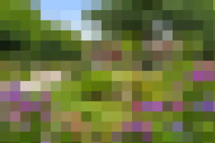 Edeseweg 93 Bennekom thumbnail 8