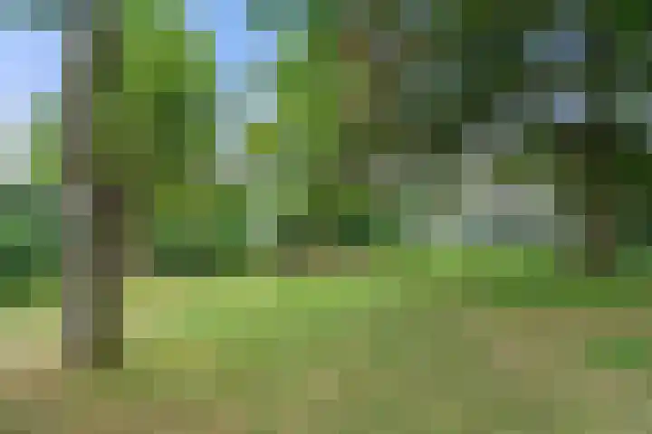 Edeseweg 94 1 Bennekom thumbnail 28