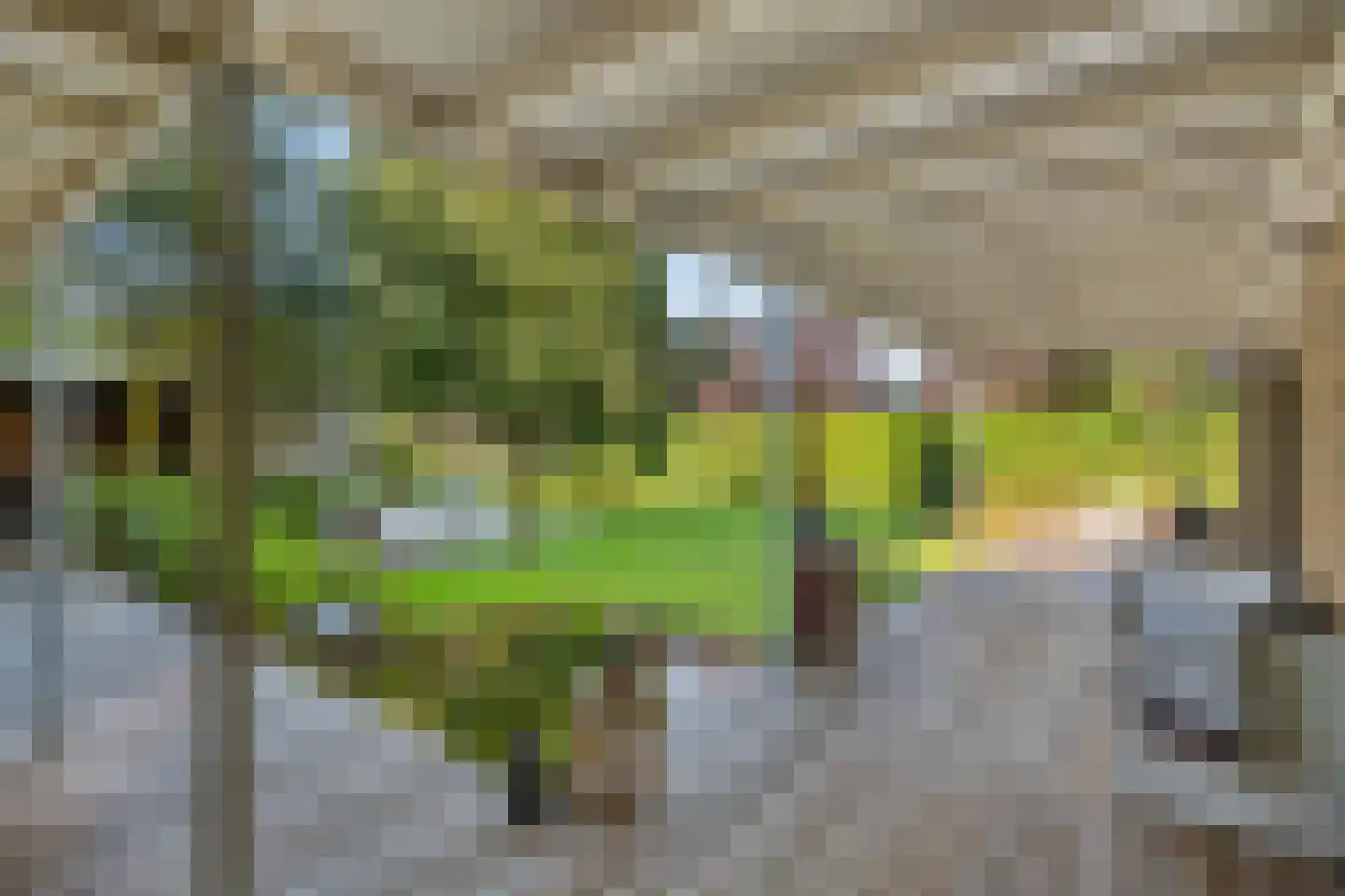 Edeseweg 97 Bennekom thumbnail 61