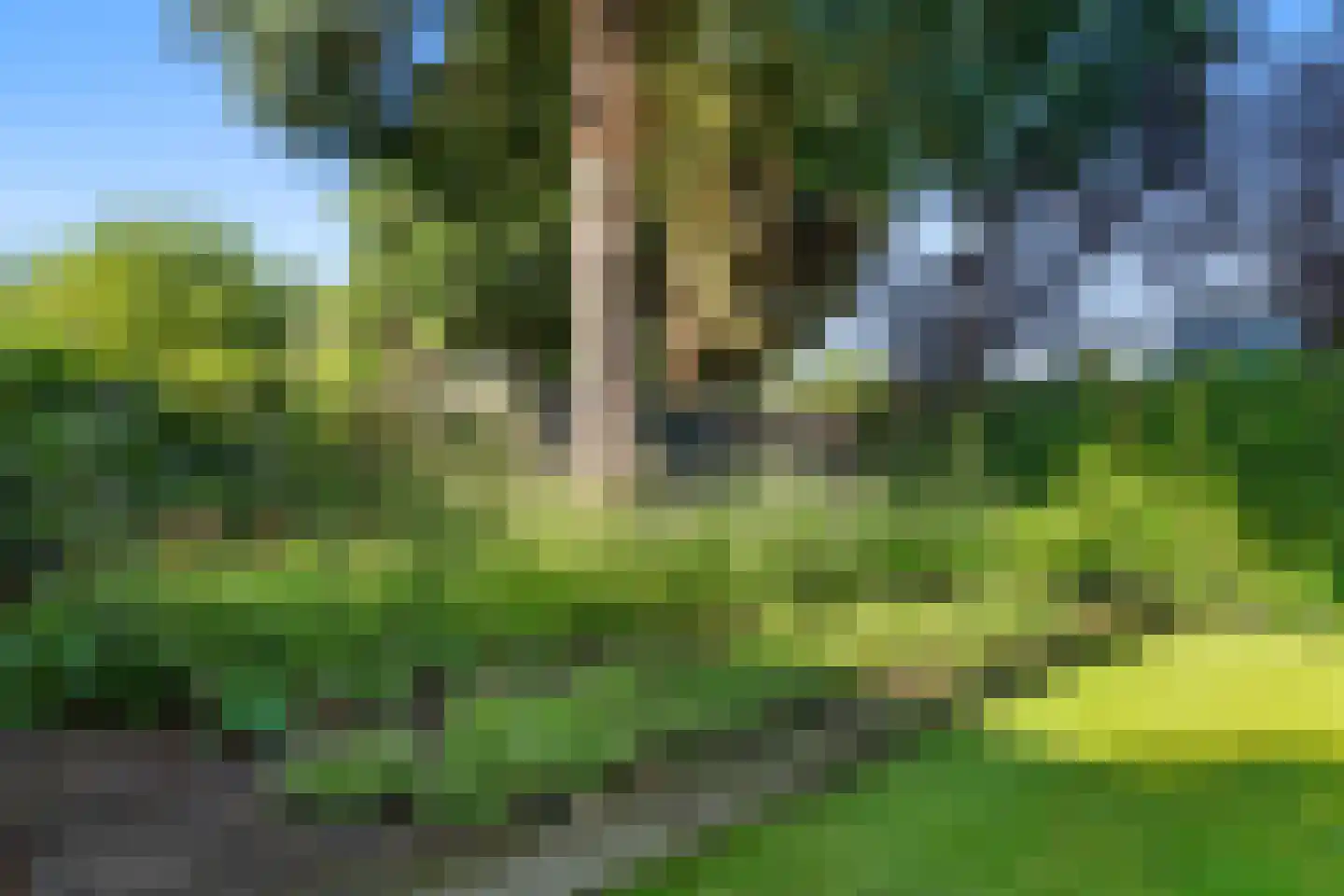 Edeseweg 97 Bennekom thumbnail 65