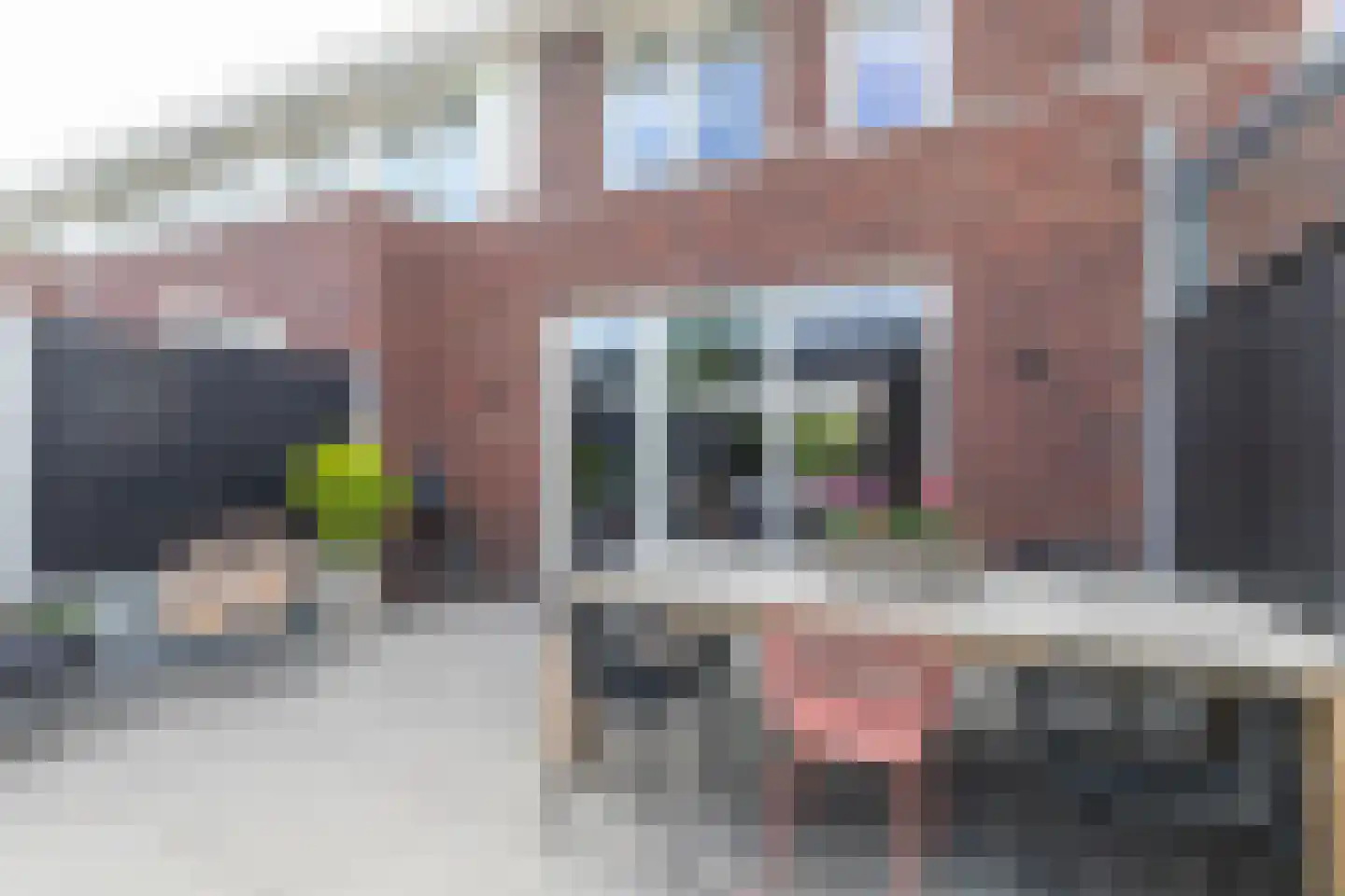Edgar du Perronstraat 31 Den Haag thumbnail 16