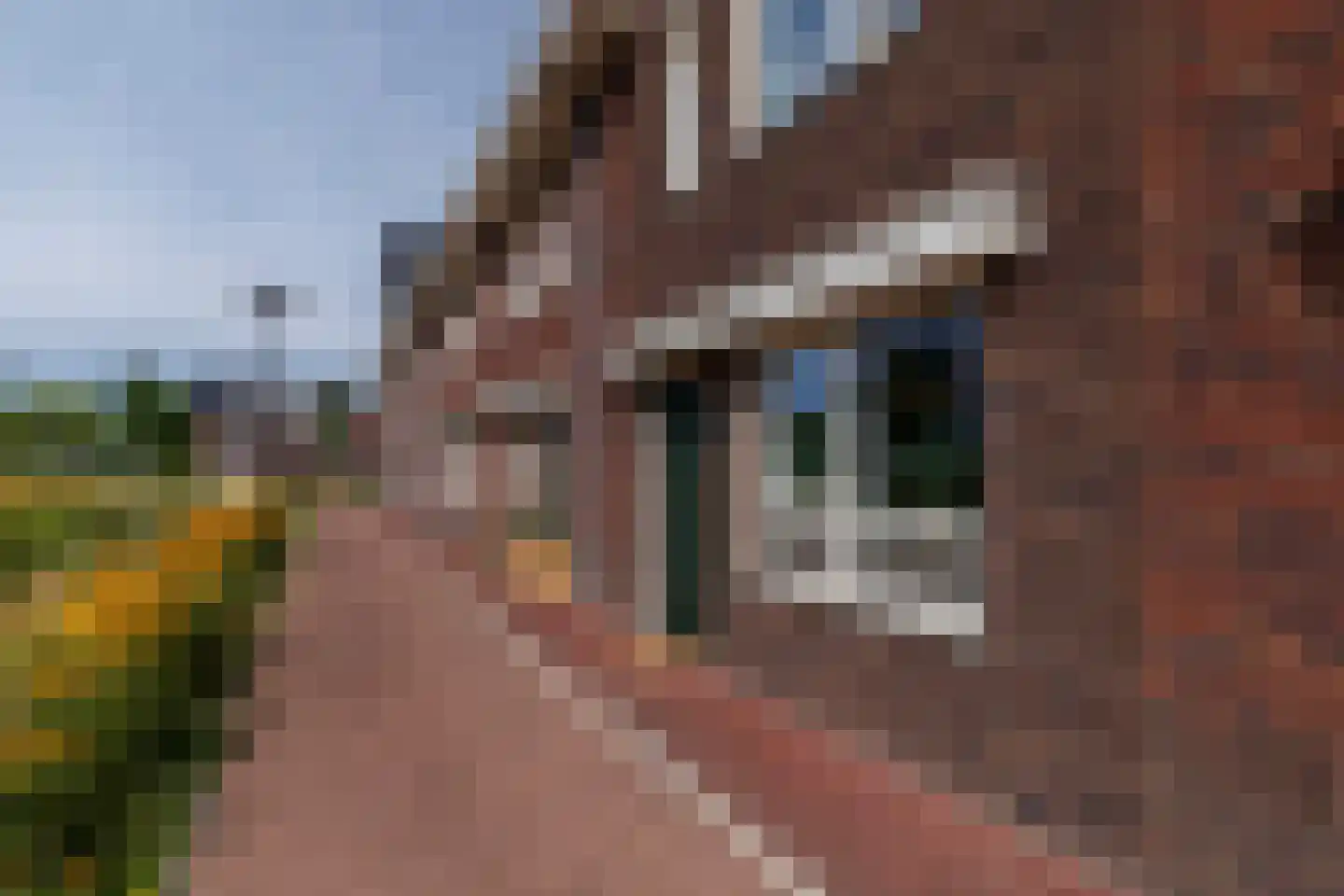 Edgar du Perronstraat 31 Den Haag thumbnail 45