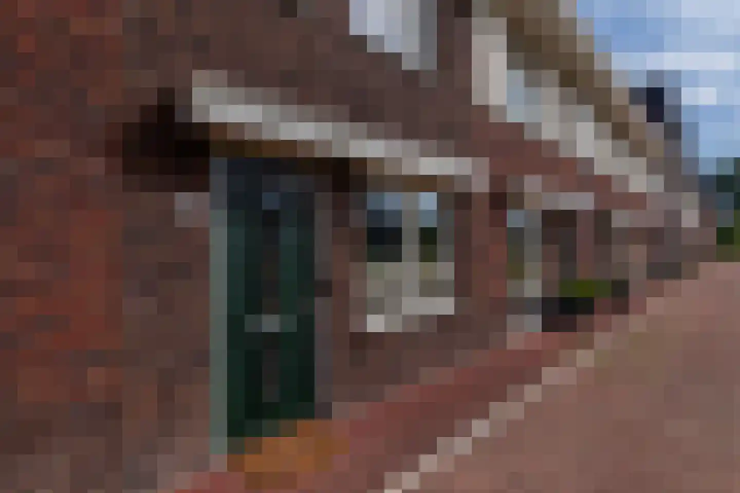 Edgar du Perronstraat 31 Den Haag thumbnail 46