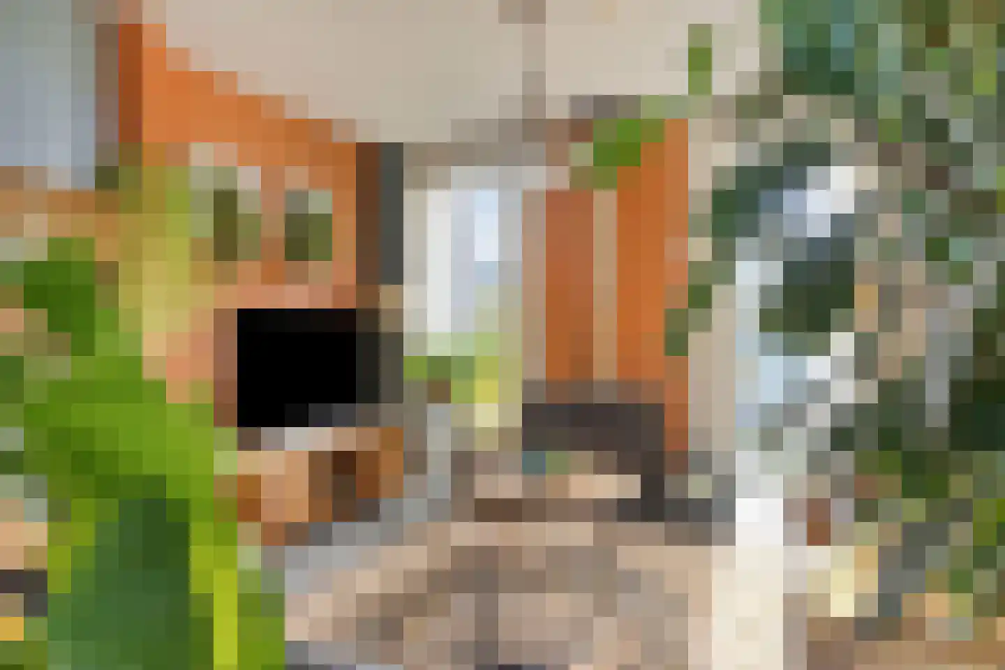 Edison 10 Meppel thumbnail 14