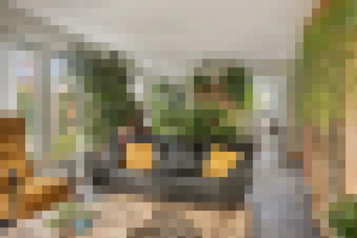 Edison 10 Meppel thumbnail 9