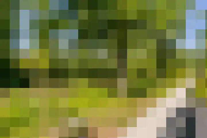 Edisonbaan 20 14 Nieuwegein thumbnail 15