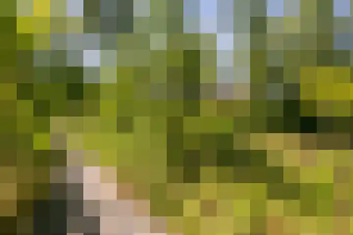 Edisonbaan 20 14 Nieuwegein thumbnail 16
