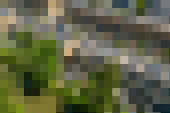 Edisonbaan 20 14 Nieuwegein thumbnail 18
