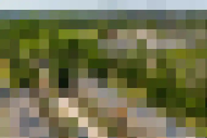 Edisonbaan 20 14 Nieuwegein thumbnail 38
