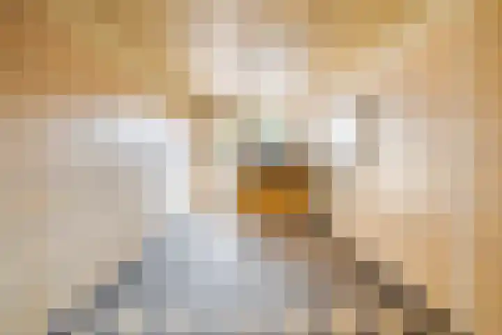 Edisonlaan 129 Apeldoorn thumbnail 20