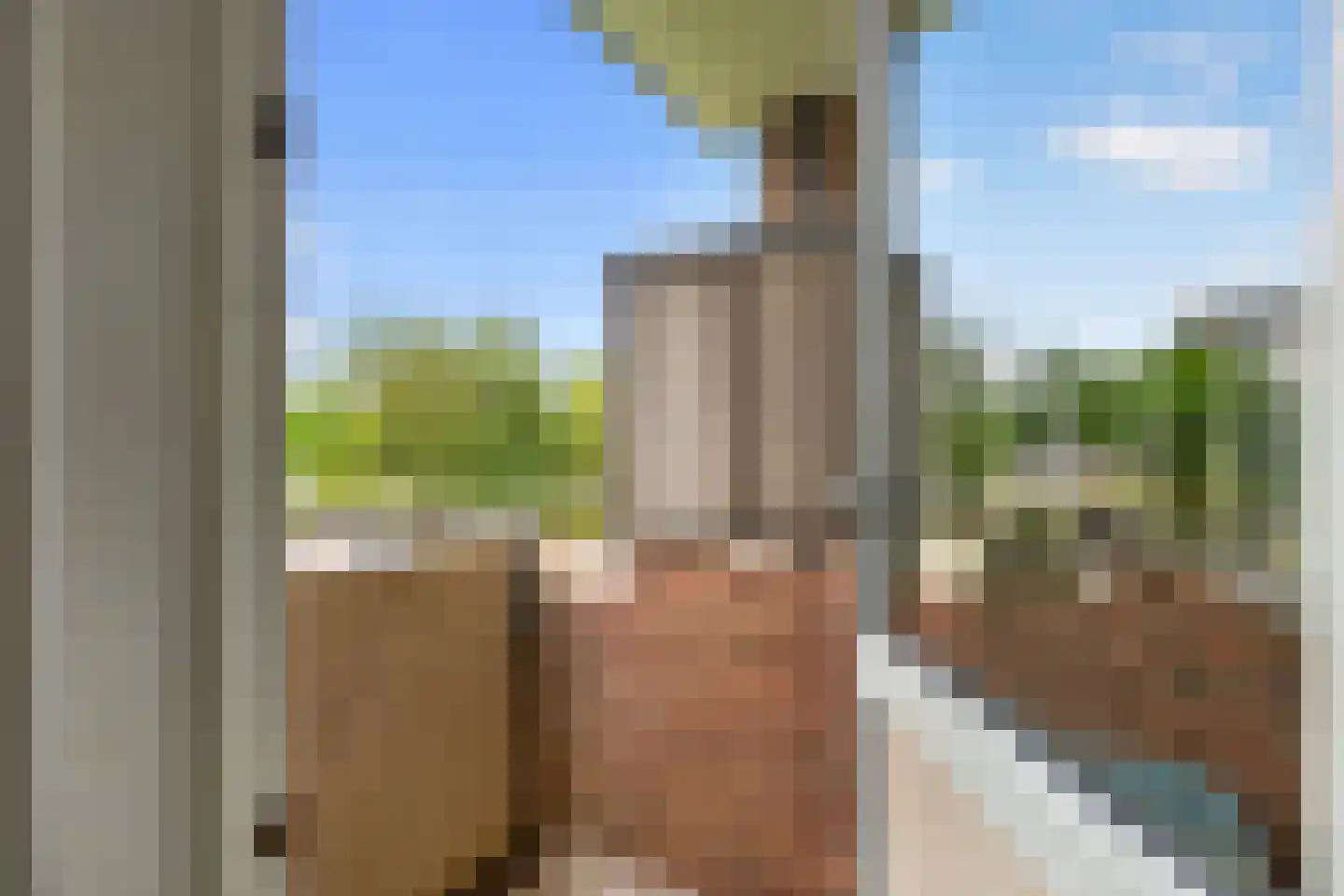 Edisonlaan 131 Apeldoorn thumbnail 14