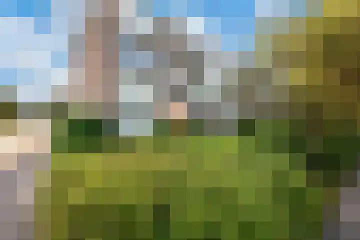 Edisonlaan 141 Apeldoorn thumbnail 19