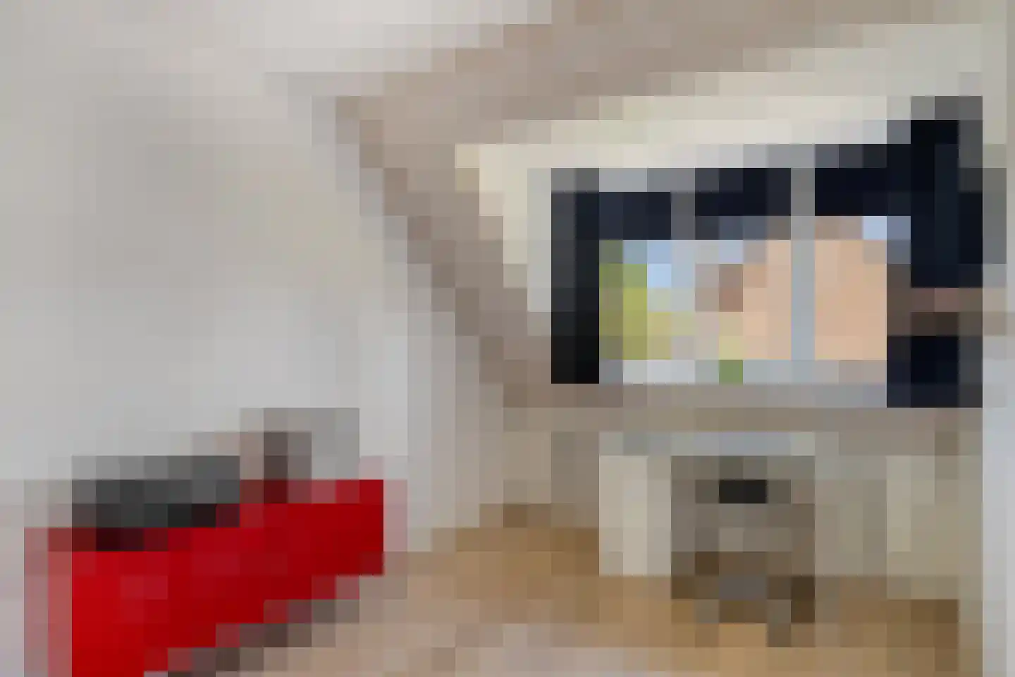 Edisonlaan 18 Vlijmen thumbnail 26