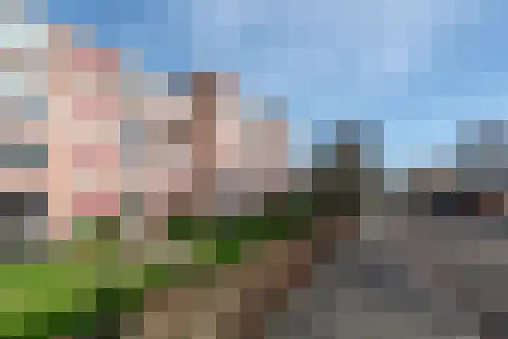 Edisonlaan 208 Apeldoorn thumbnail 5