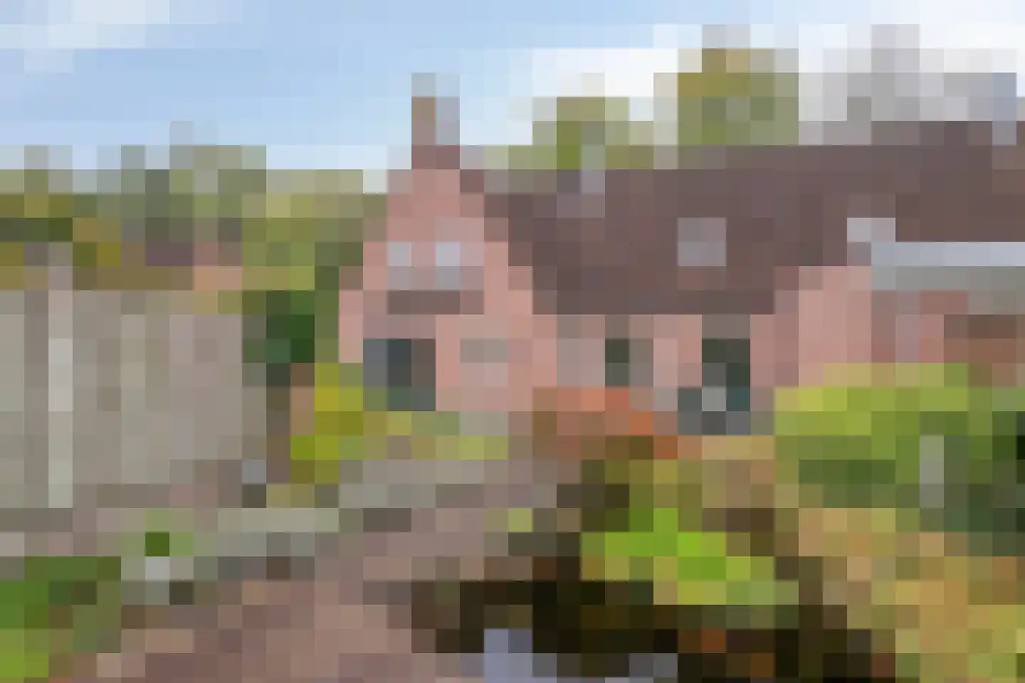 Edisonplantsoen 15 Helmond thumbnail 29
