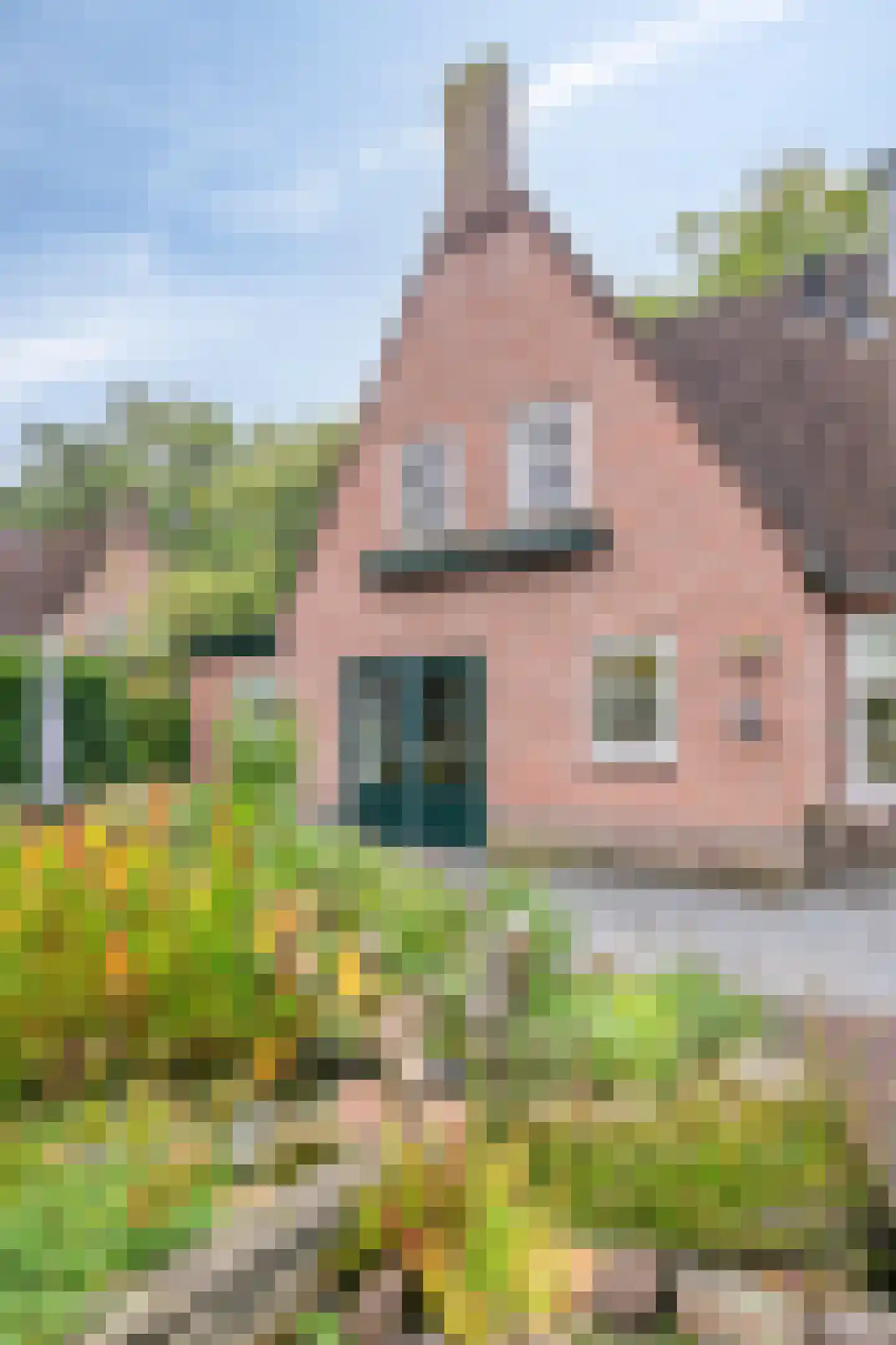 Edisonplantsoen 15 Helmond thumbnail 30