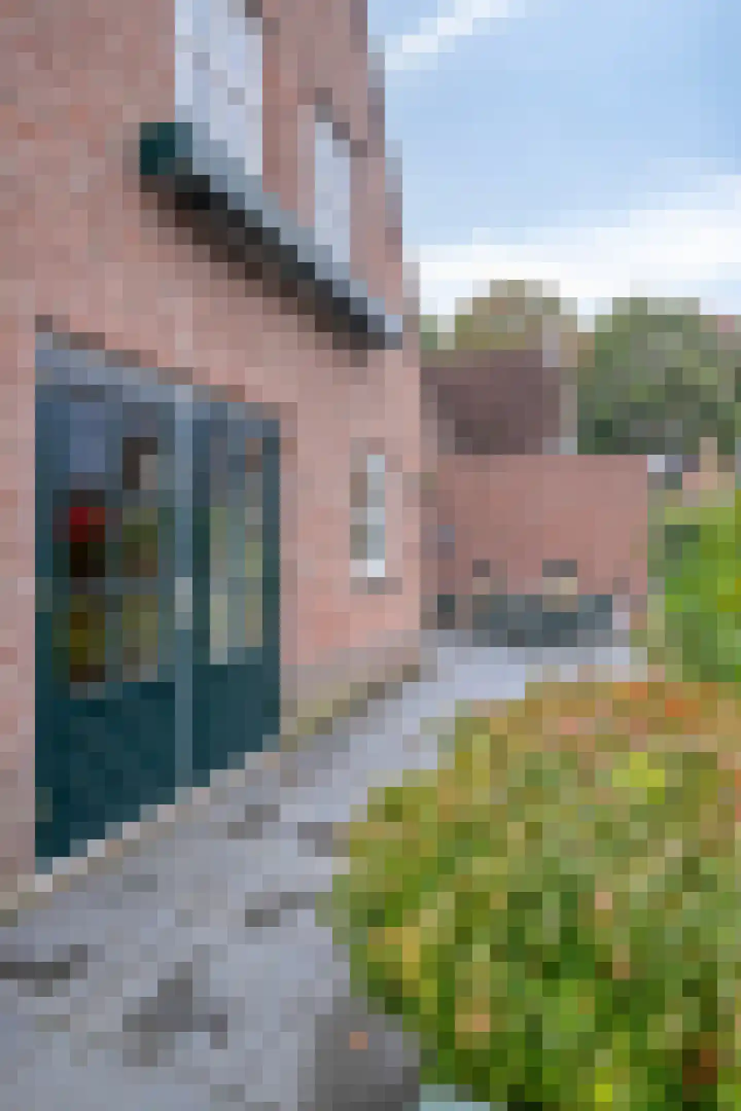Edisonplantsoen 15 Helmond thumbnail 31