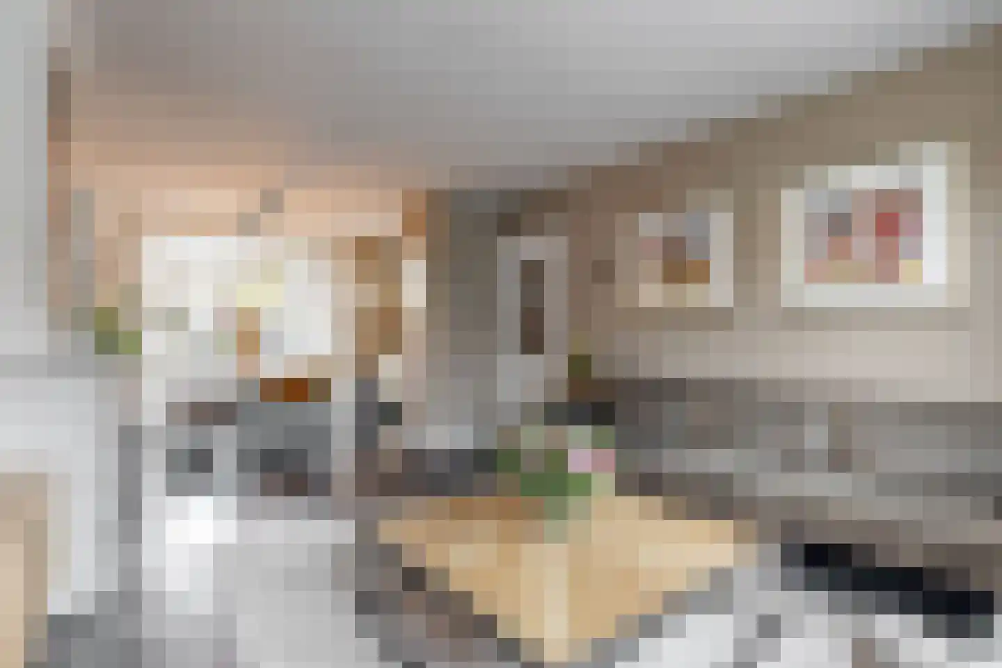 Edisonstraat 1 Wormerveer thumbnail 7