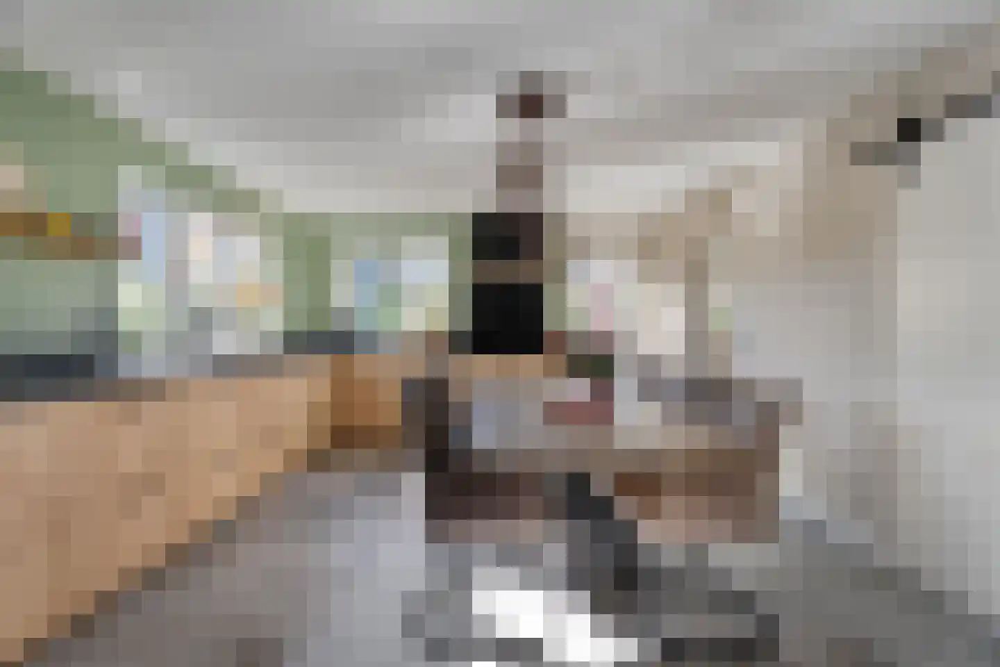 Edisonstraat 10 Tubbergen thumbnail 10
