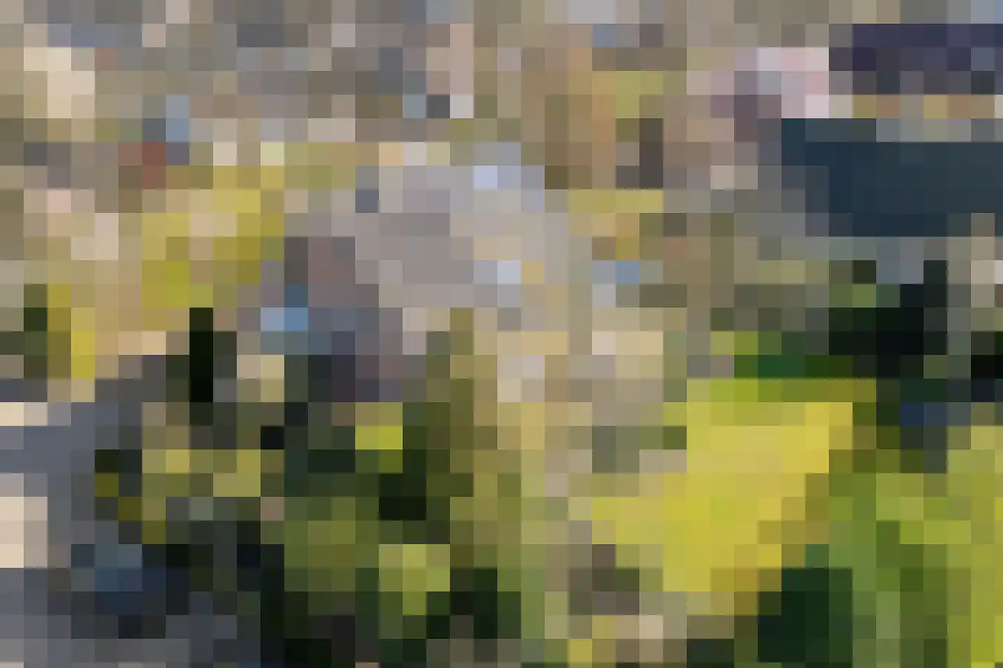 Edisonstraat 10 Tubbergen thumbnail 32