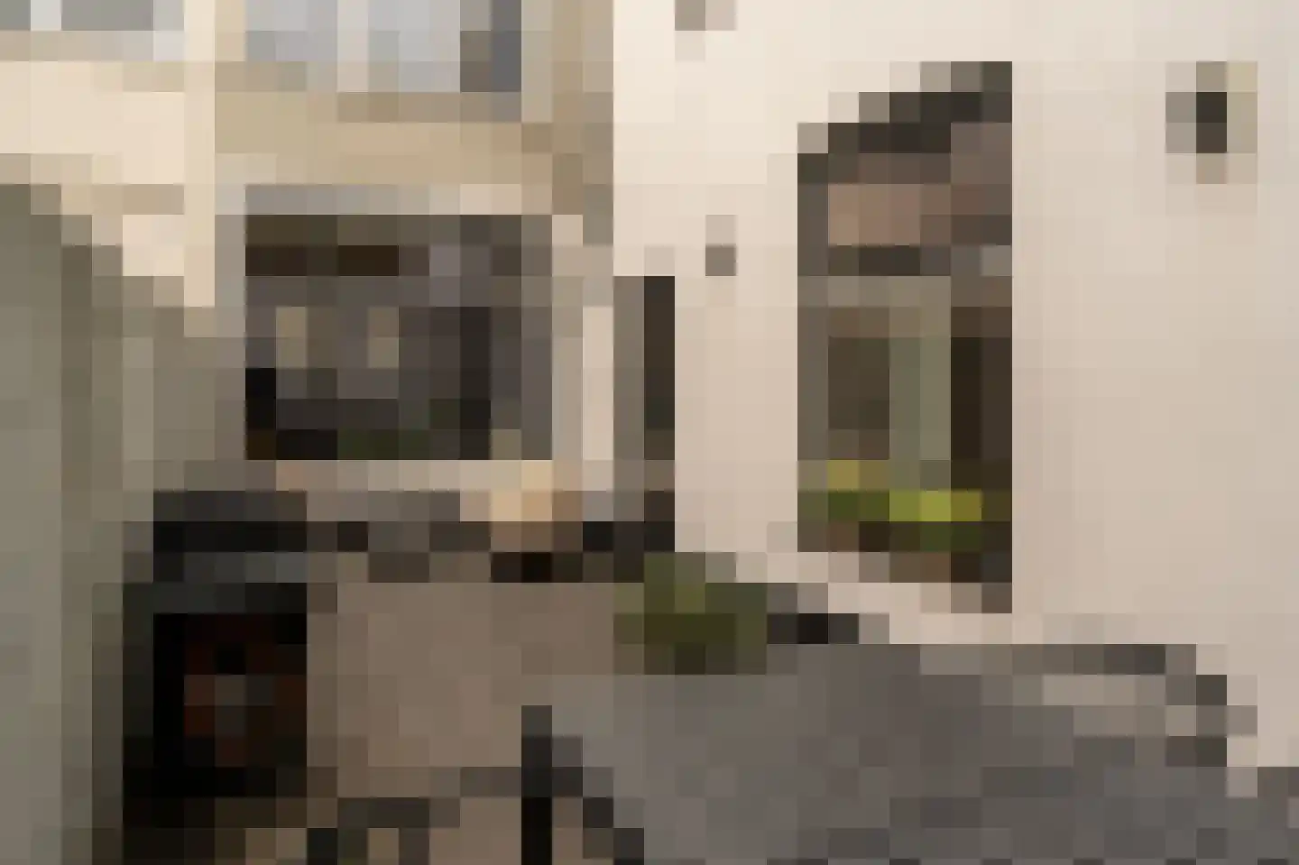 Edisonstraat 104 Den Haag thumbnail 26