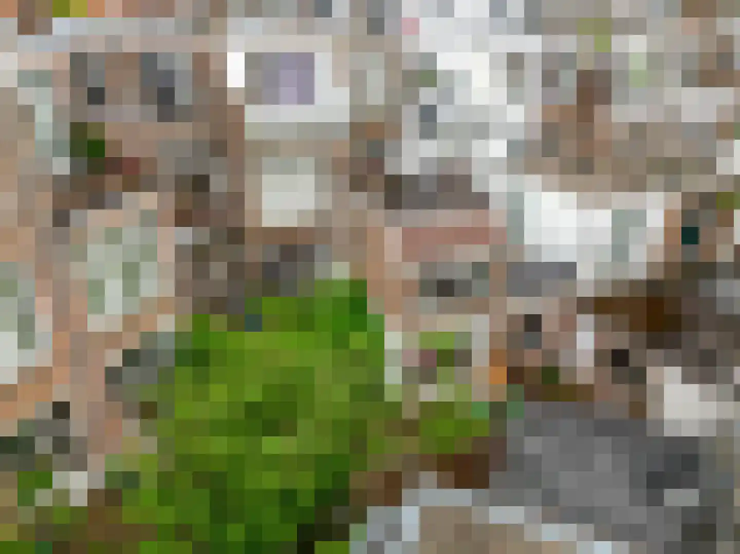 Edisonstraat 115 Den Haag thumbnail 29