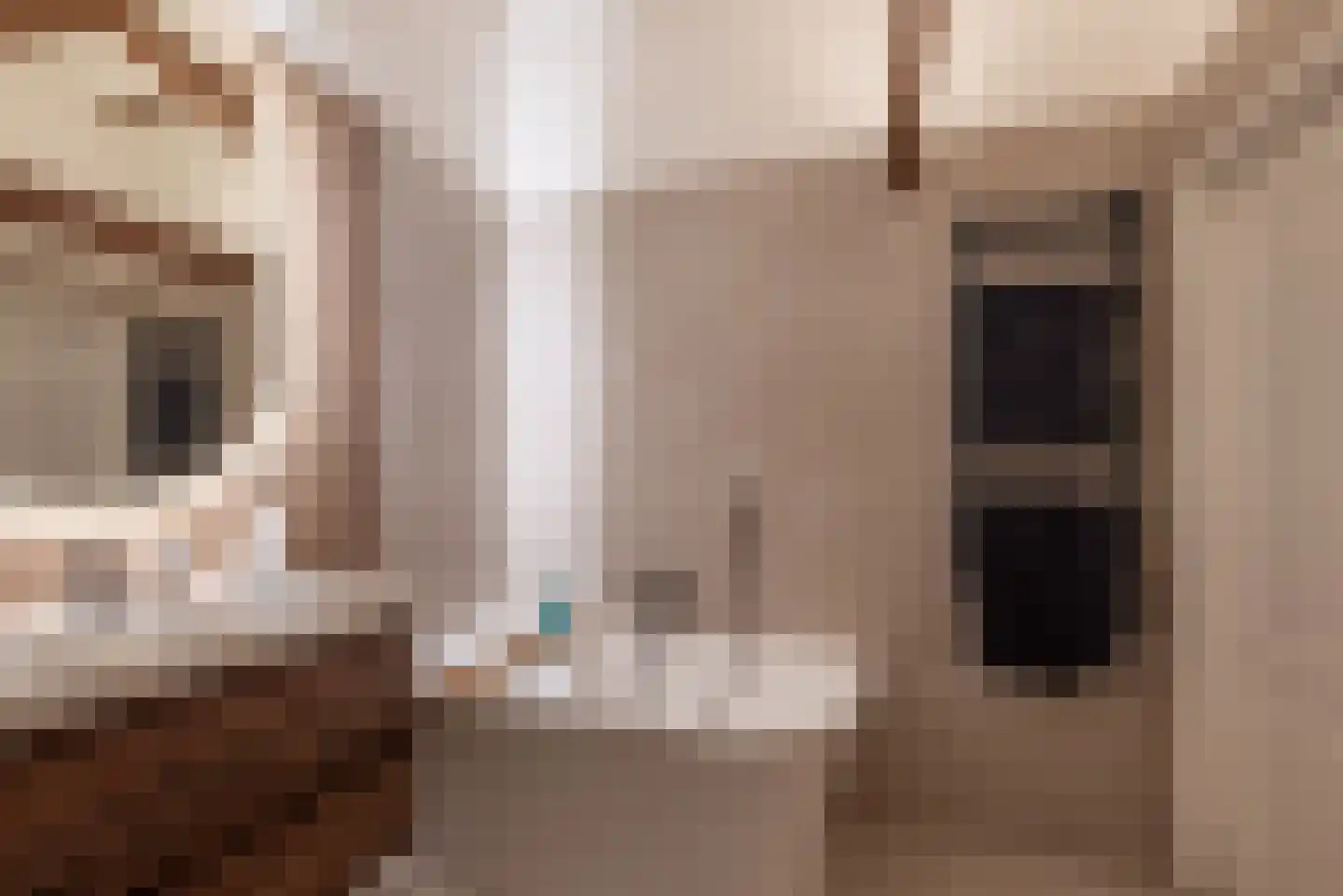 Edisonstraat 16 Haarlem thumbnail 30