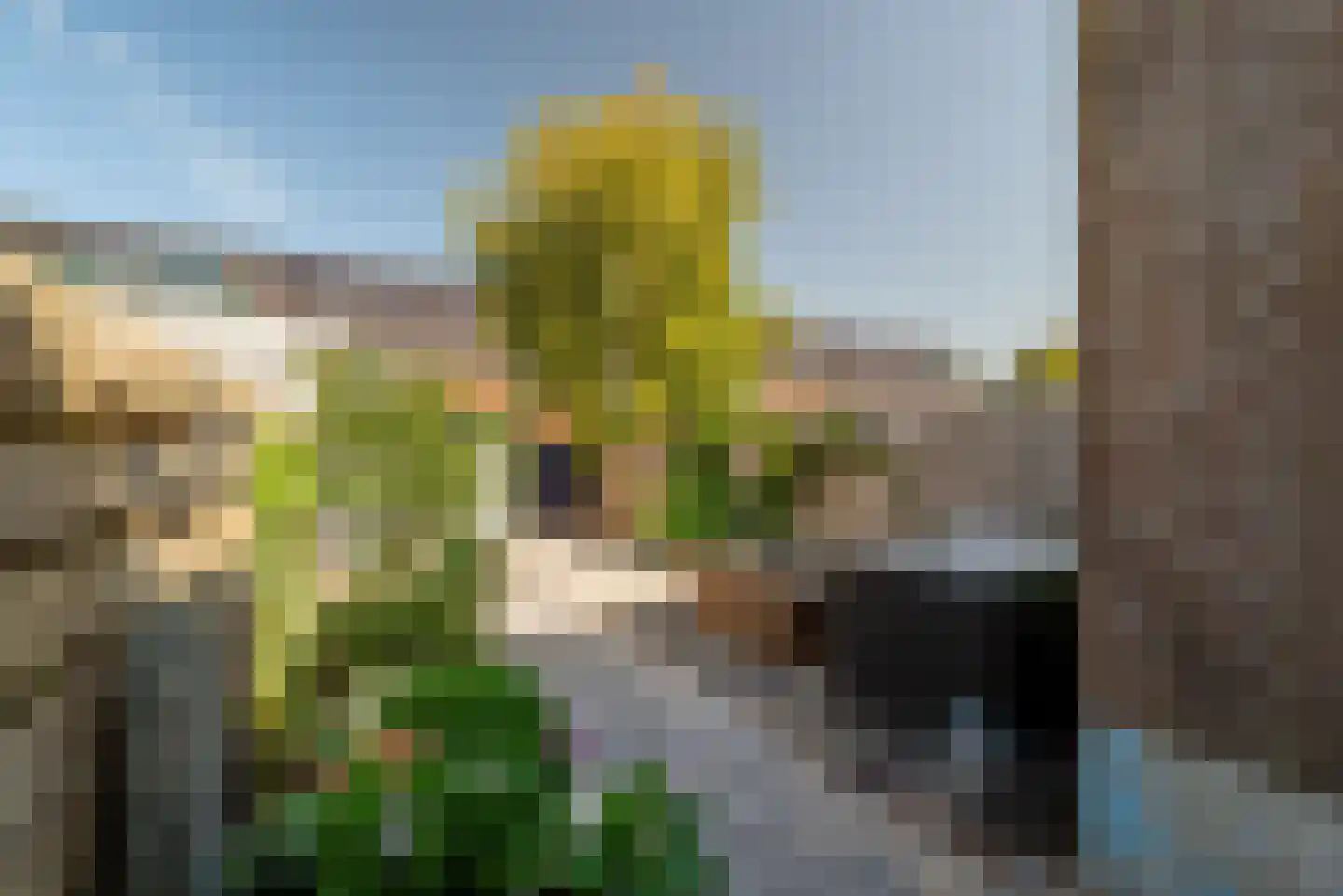 Edisonstraat 16 Haarlem thumbnail 33