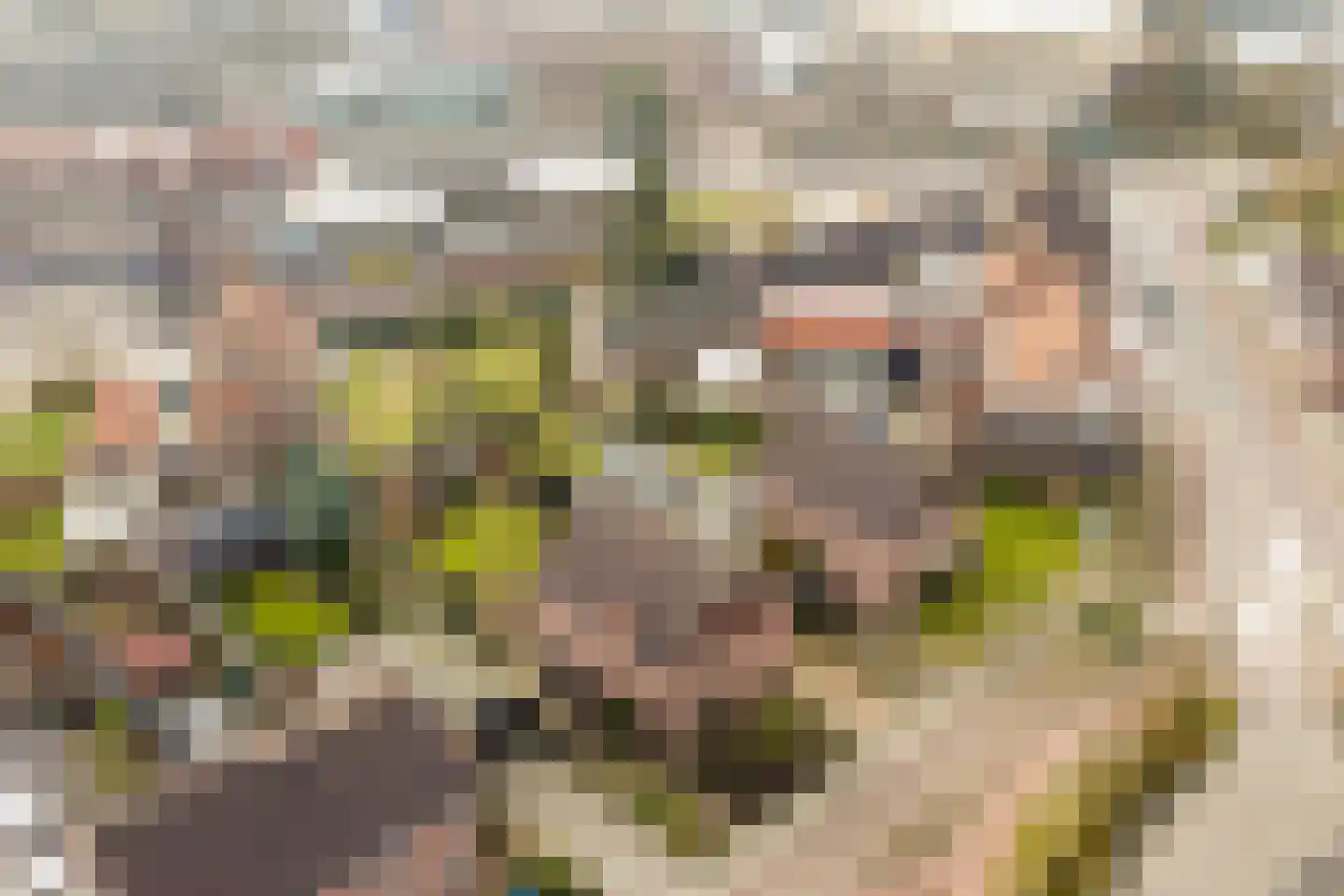 Edisonstraat 2 a Lichtenvoorde thumbnail 59