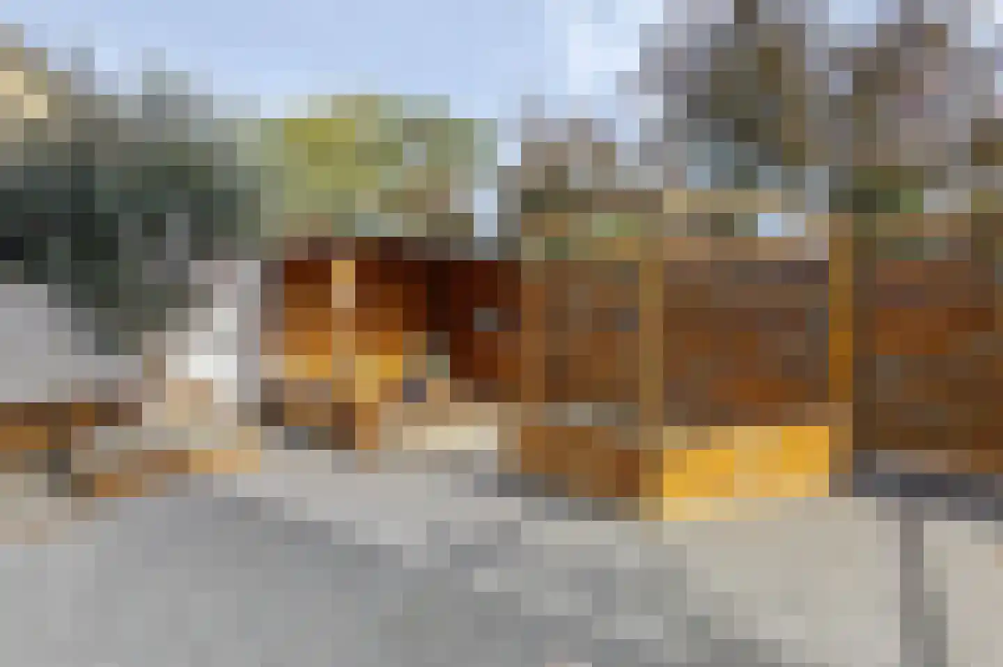 Edisonstraat 23 Terneuzen thumbnail 27
