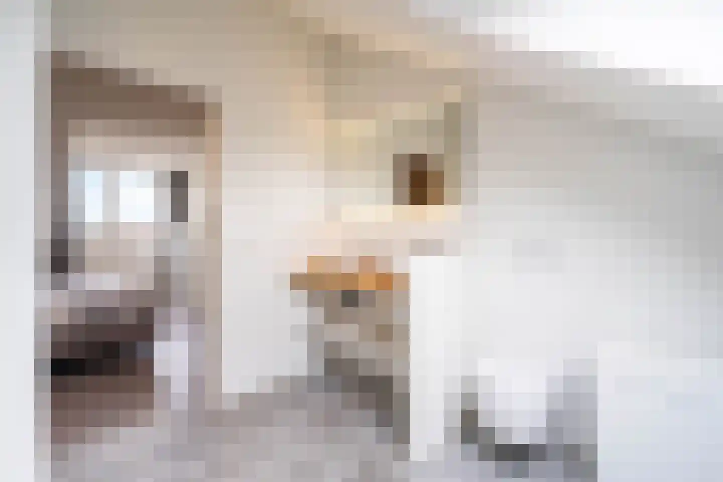 Edisonstraat 28 B Breda thumbnail 24