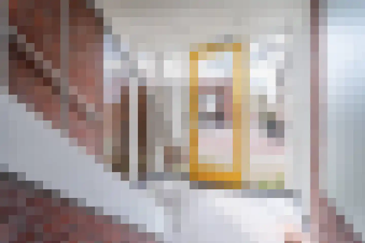 Edisonstraat 28 B Breda thumbnail 27