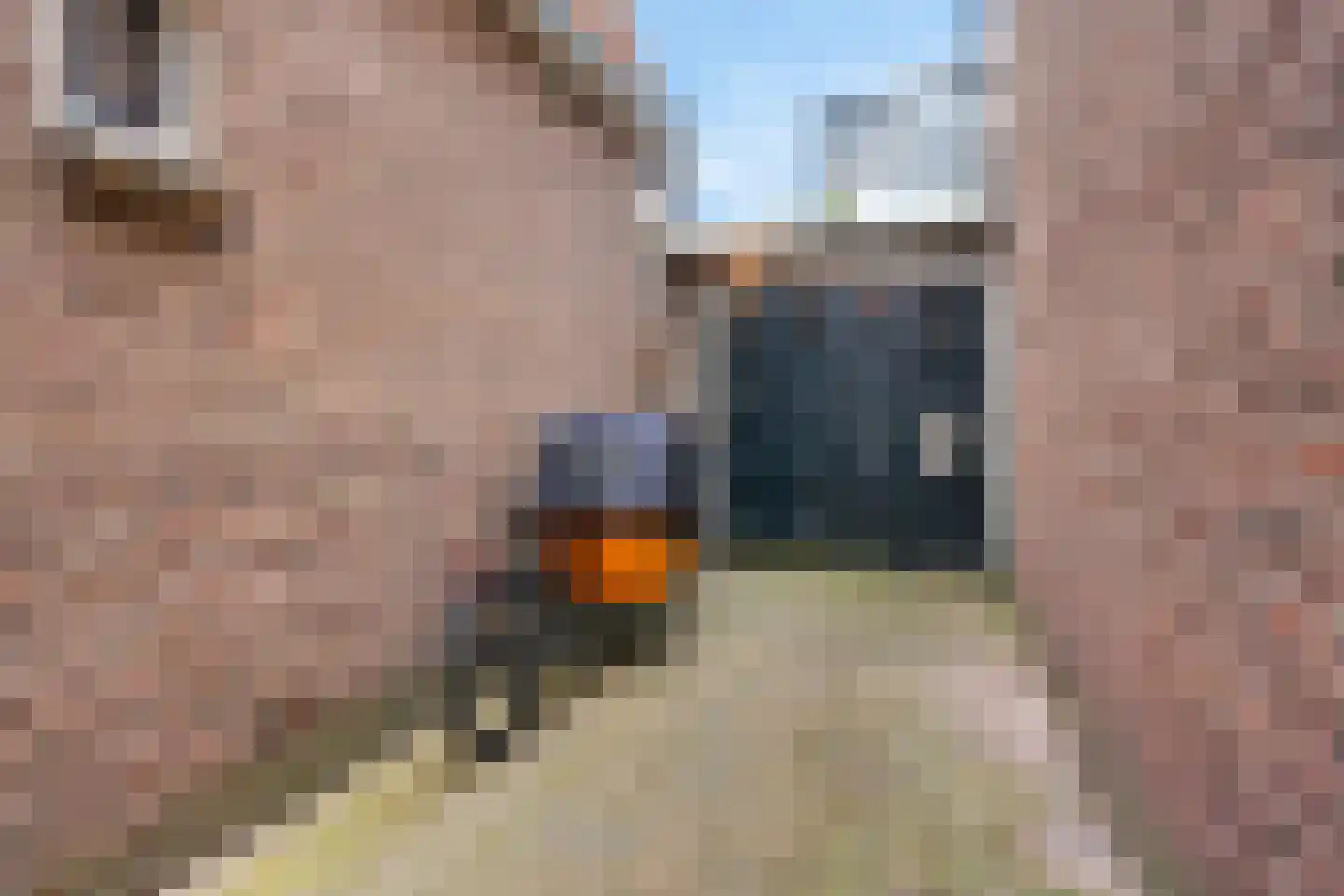 Edisonstraat 3 Wormerveer thumbnail 39