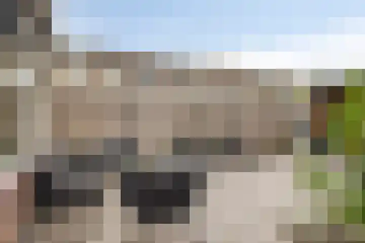 Edisonstraat 35 Terneuzen thumbnail 31