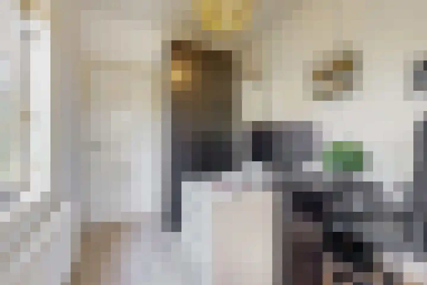 Edisonstraat 46 Utrecht thumbnail 18