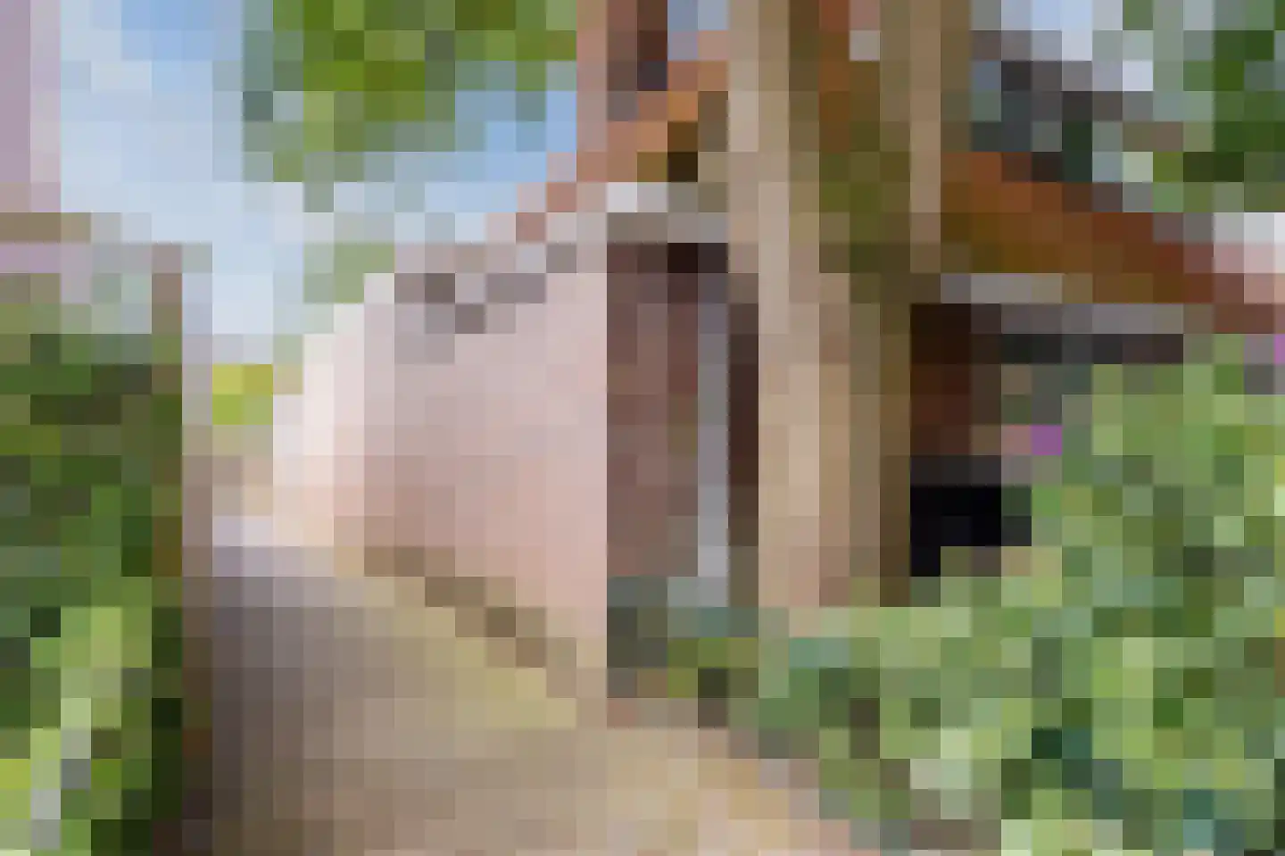 Edisonstraat 50 Hilversum thumbnail 65