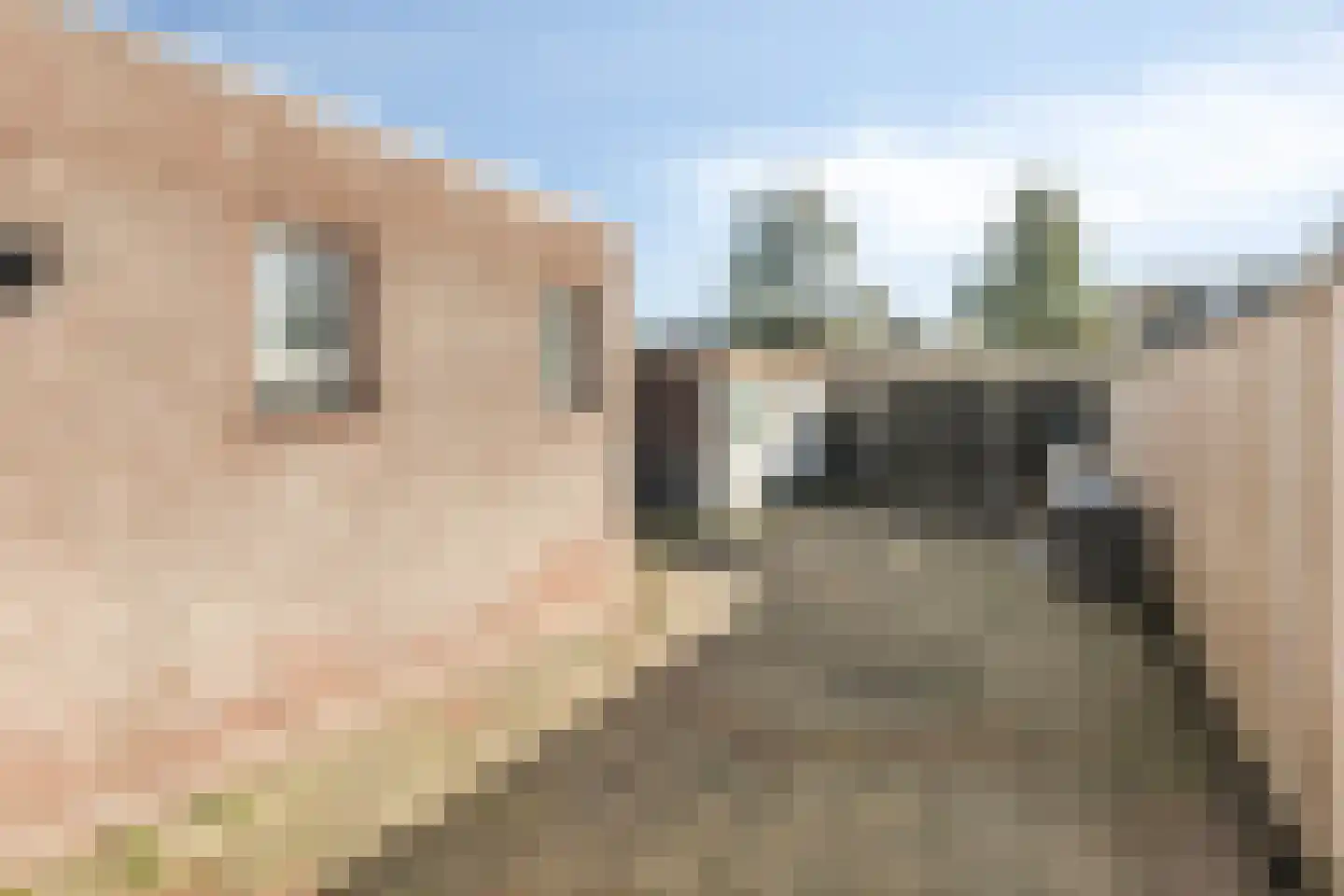 Edisonstraat 56 Roosendaal thumbnail 28