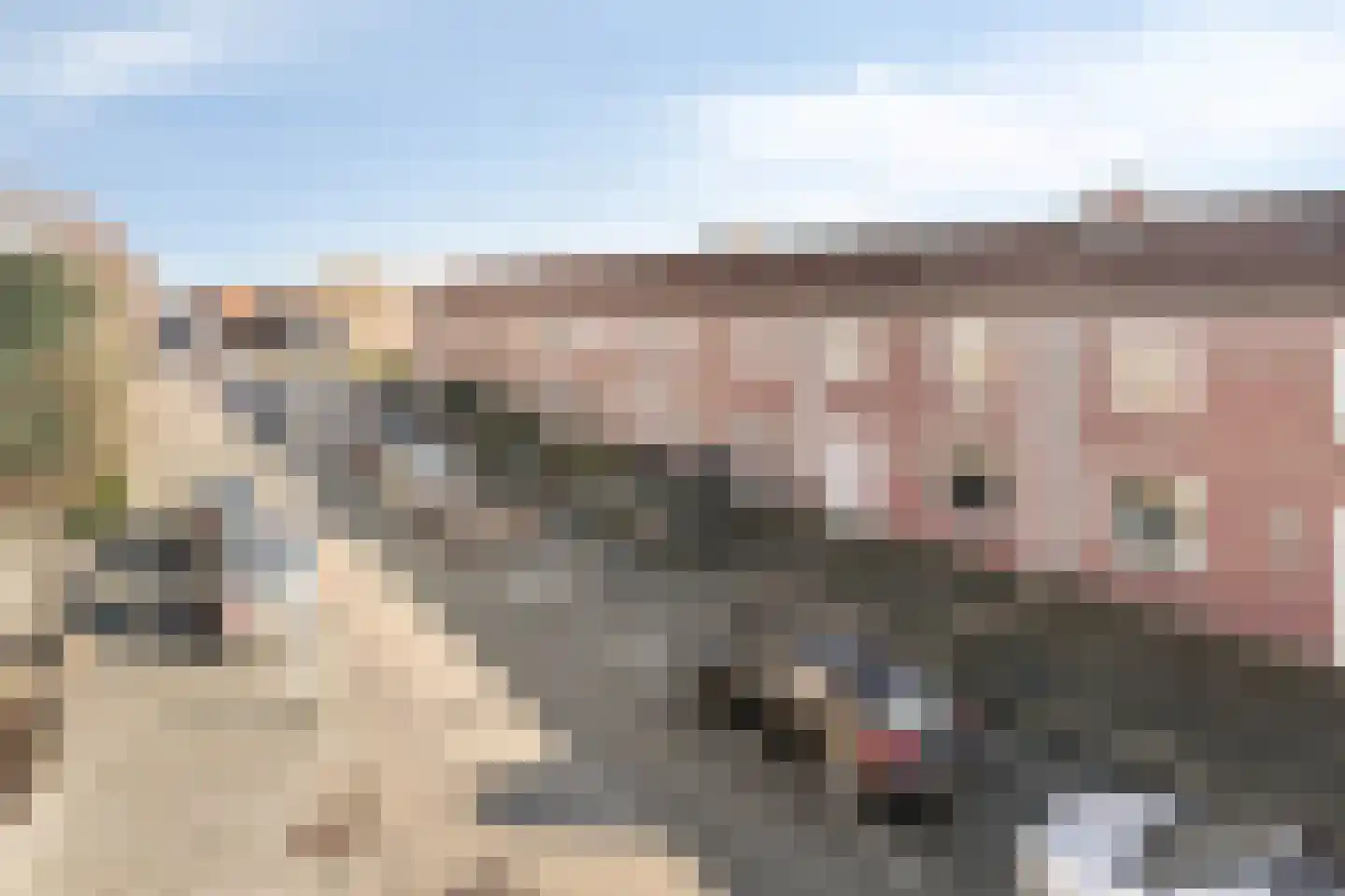 Edisonstraat 56 Roosendaal thumbnail 34