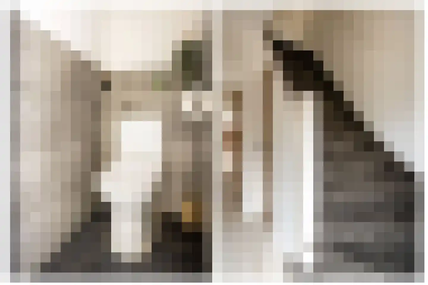 Edisonstraat 61 Roosendaal thumbnail 13