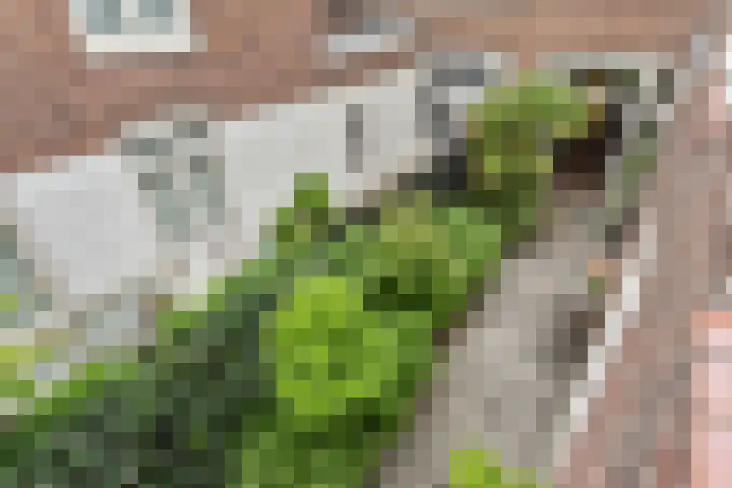 Edisonstraat 62 Den Haag thumbnail 38