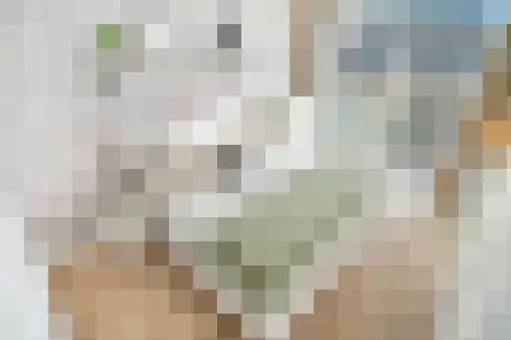 Edisonstraat 7 Leiden thumbnail 26