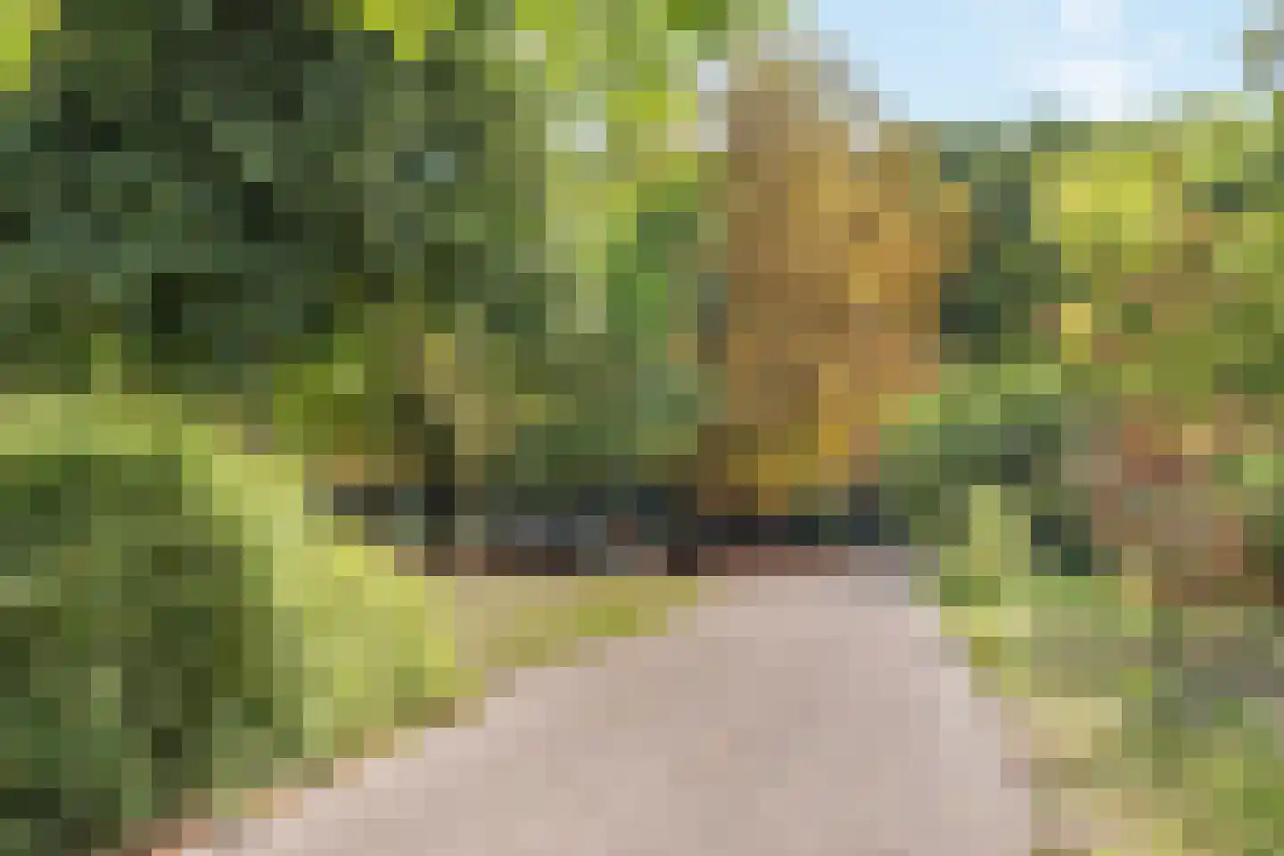 Edisonstraat 8 Utrecht thumbnail 37