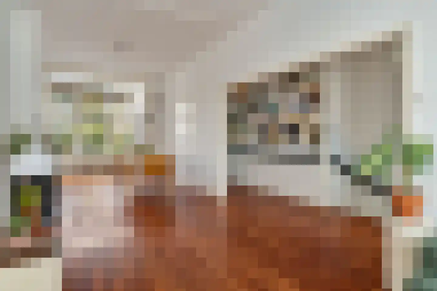 Edisonstraat 85 Den Haag thumbnail 22