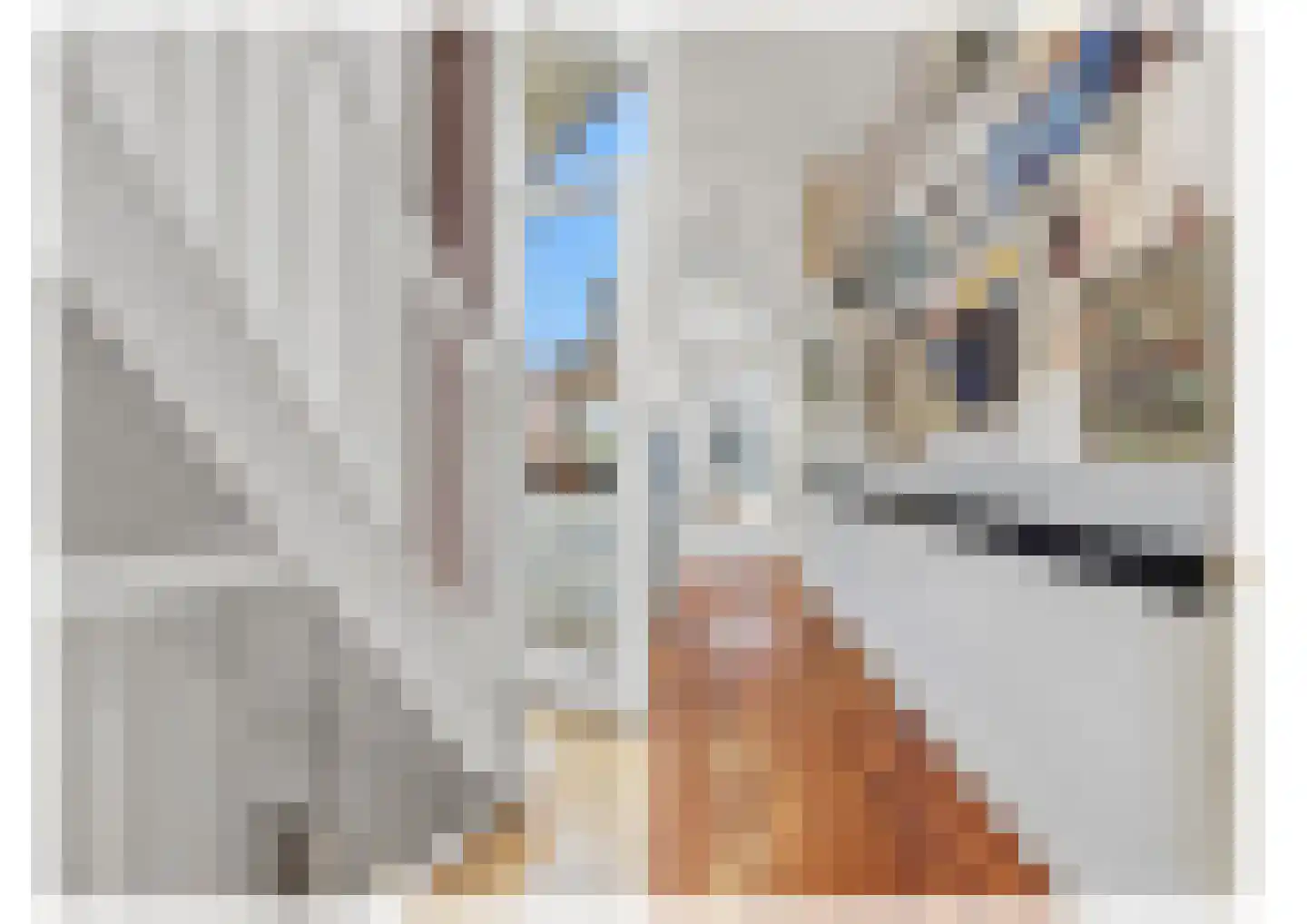 Edisonstraat 85 Den Haag thumbnail 24