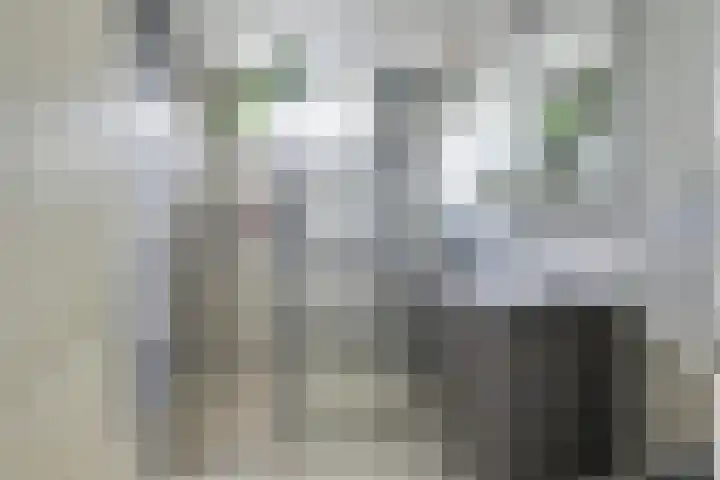 Edisonstraat 85 Utrecht thumbnail 29
