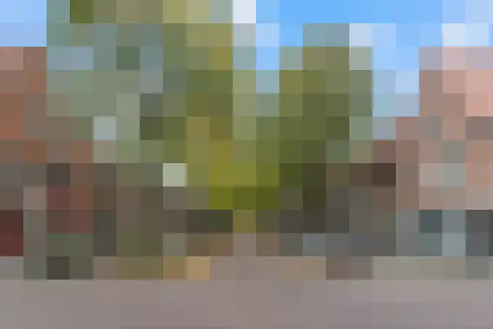 Edisonstraat 91 Utrecht thumbnail 38
